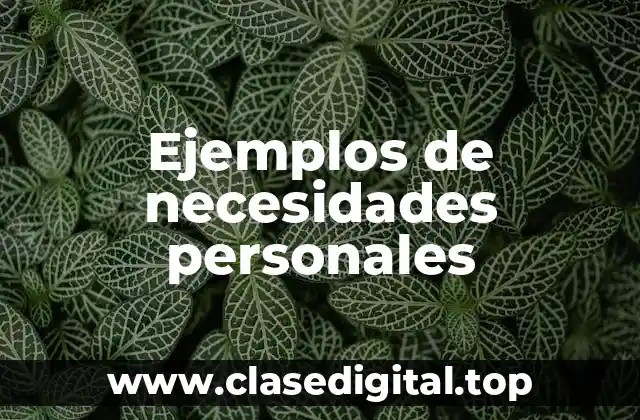 Ejemplos de necesidades personales
