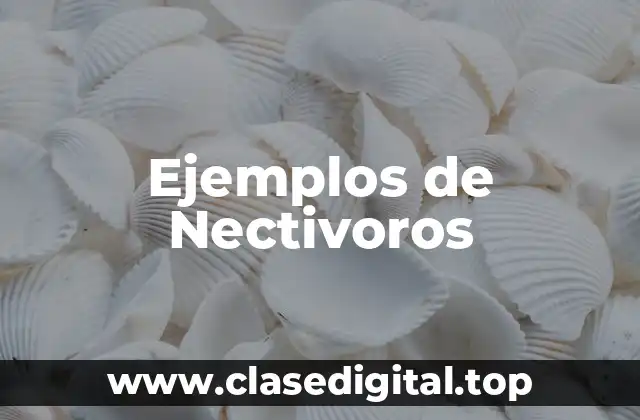Ejemplos de Nectivoros