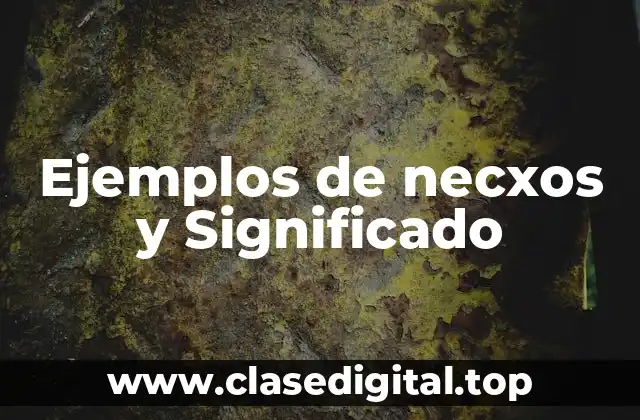 Ejemplos de necxos y Significado