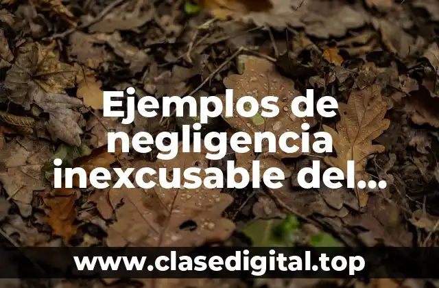 Ejemplos de negligencia inexcusable del trabajador