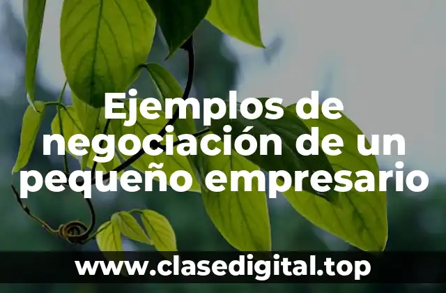 Ejemplos de negociación de un pequeño empresario