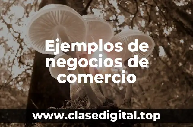 Ejemplos de negocios de comercio