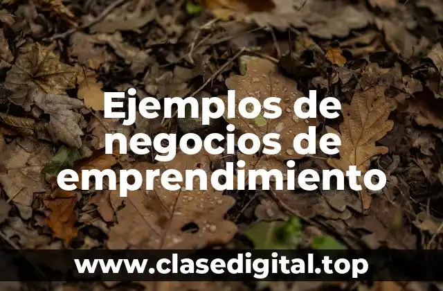 Ejemplos de negocios de emprendimiento