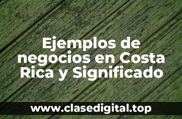 Ejemplos de negocios en Costa Rica y Significado