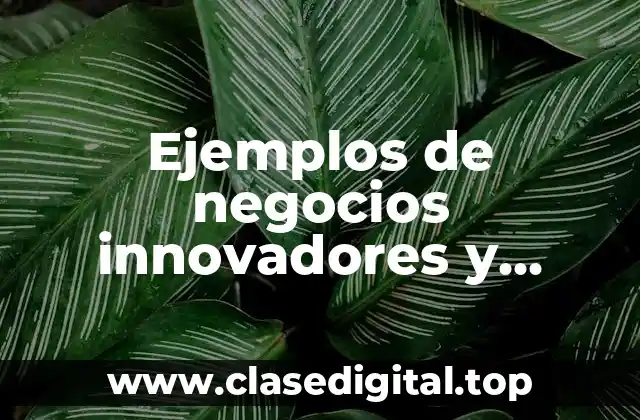 Ejemplos de negocios innovadores y rentables y Significado