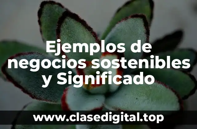 Ejemplos de negocios sostenibles y Significado