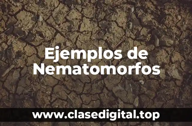 Ejemplos de Nematomorfos