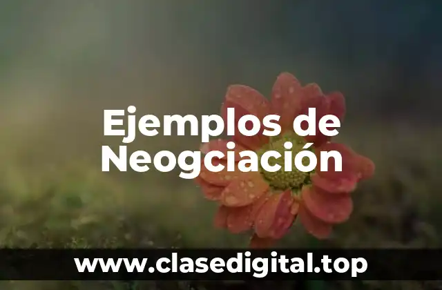 Ejemplos de Neogciación
