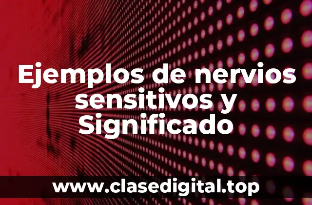 Ejemplos de nervios sensitivos y Significado
