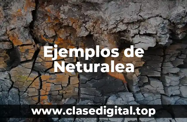 Ejemplos de Neturalea