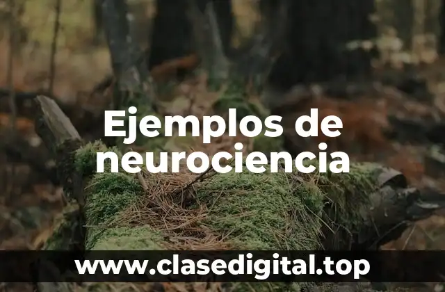 Ejemplos de neurociencia