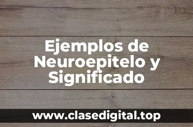 Ejemplos de Neuroepitelo y Significado
