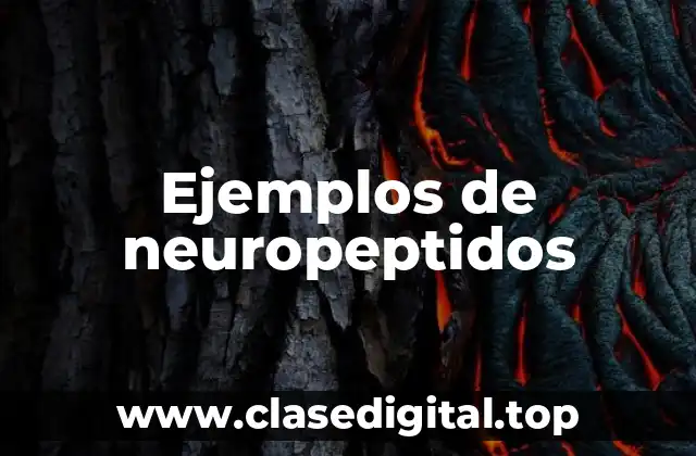 Ejemplos de neuropeptidos