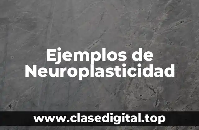 Ejemplos de Neuroplasticidad