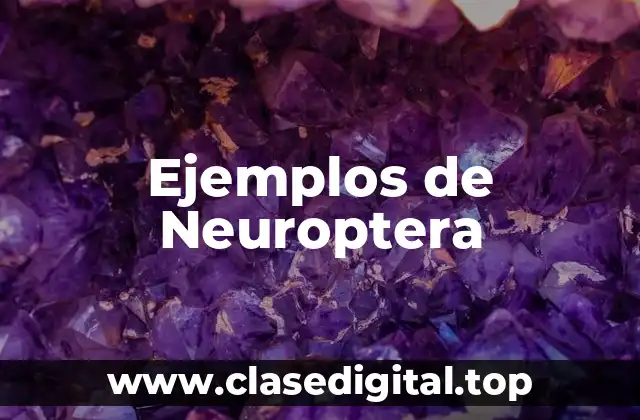 Ejemplos de Neuroptera