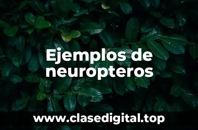 Ejemplos de neuropteros