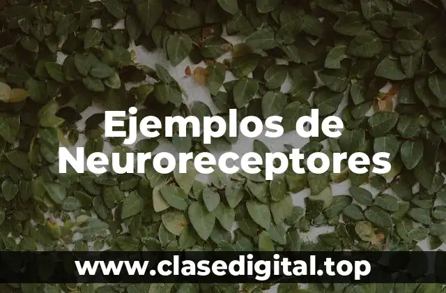 Ejemplos de Neuroreceptores