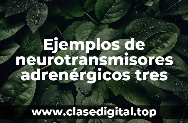 Ejemplos de neurotransmisores adrenérgicos tres