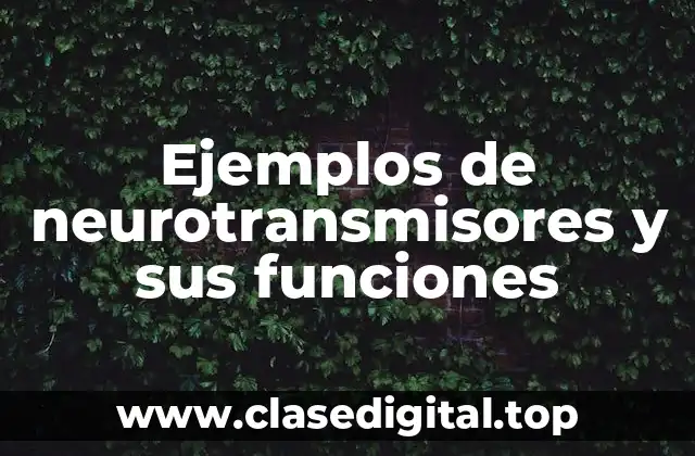 Ejemplos de neurotransmisores y sus funciones