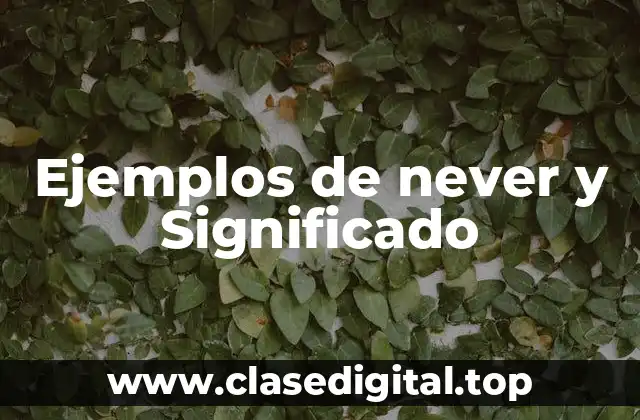 Ejemplos de never y Significado