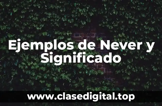Ejemplos de Never