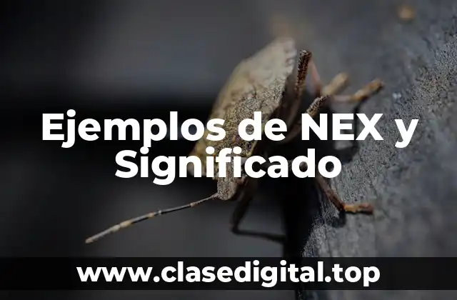 Ejemplos de NEX y Significado