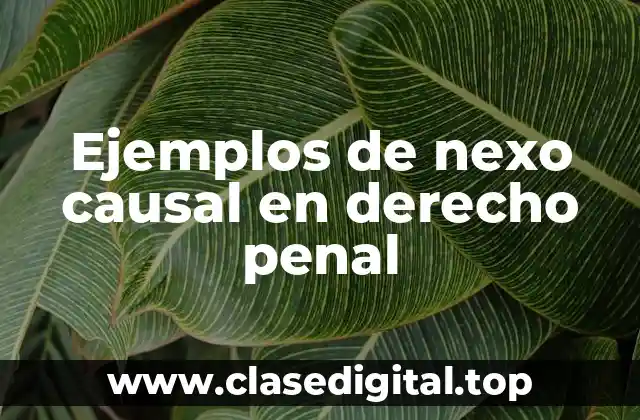 Ejemplos de nexo causal en derecho penal
