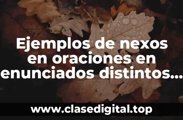 Ejemplos de nexos en oraciones en enunciados distintos en inglés