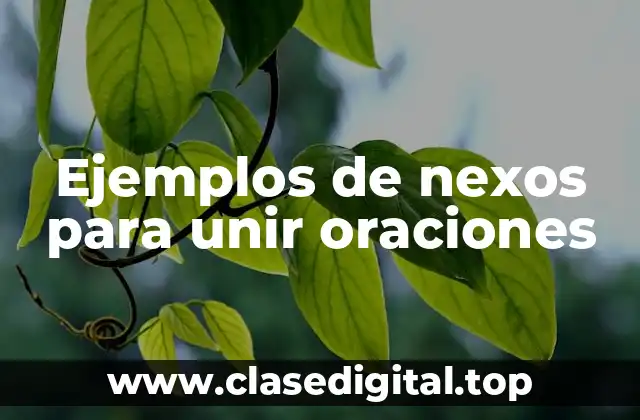 Ejemplos de nexos para unir oraciones