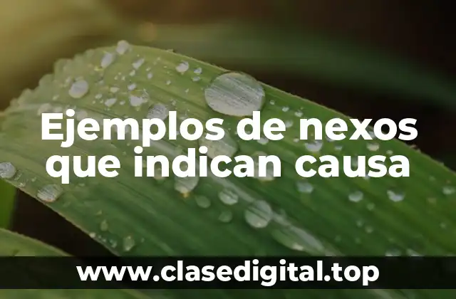 Ejemplos de nexos que indican causa