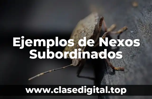 Ejemplos de Nexos Subordinados