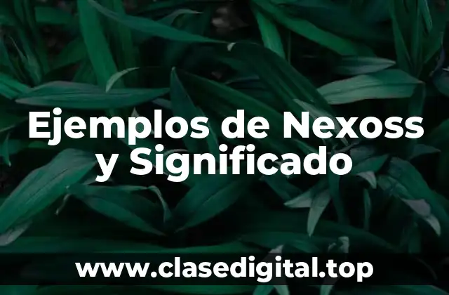 Ejemplos de Nexoss y Significado