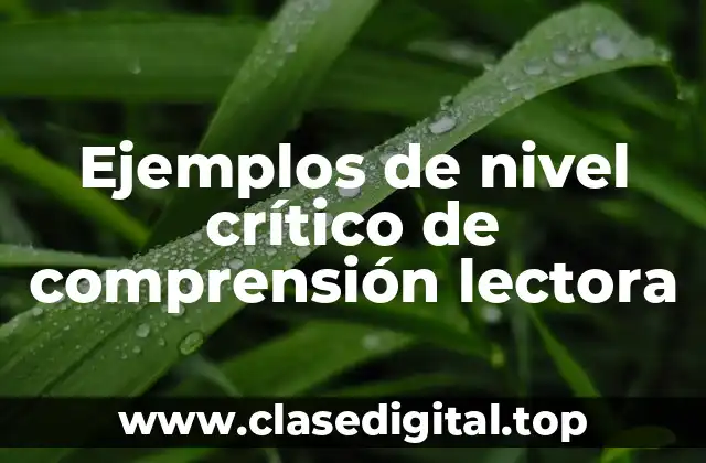 Ejemplos de nivel crítico de comprensión lectora
