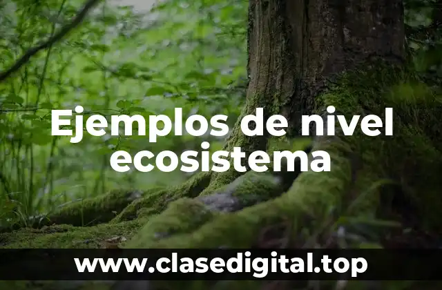 Ejemplos de nivel ecosistema