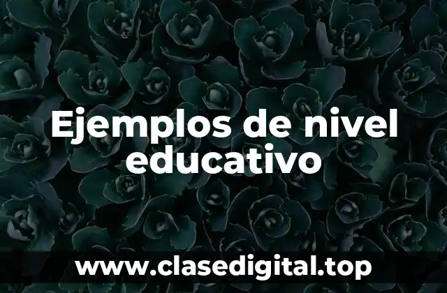 Ejemplos de nivel educativo
