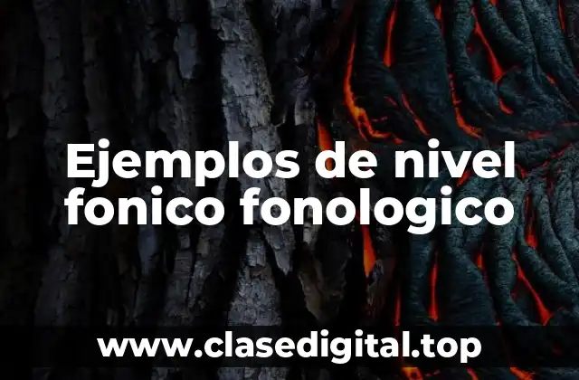 Ejemplos de nivel fonico fonologico