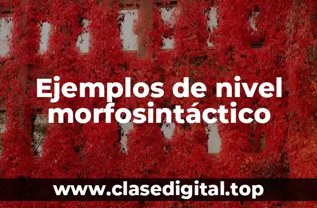 Ejemplos de nivel morfosintáctico
