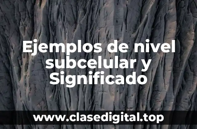 Ejemplos de nivel subcelular y Significado