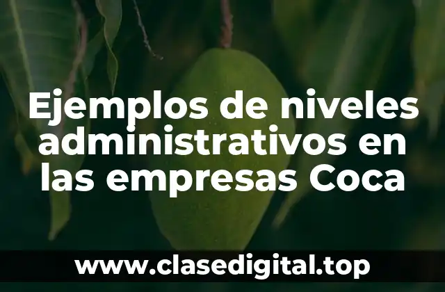 Ejemplos de niveles administrativos en las empresas Coca