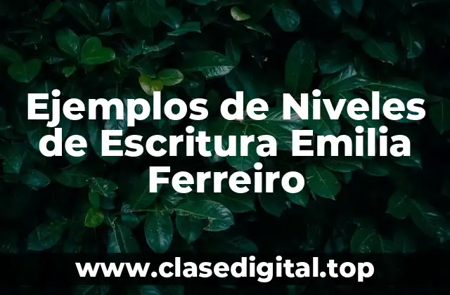Ejemplos de Niveles de Escritura Emilia Ferreiro