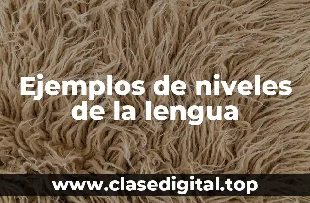 Ejemplos de niveles de la lengua