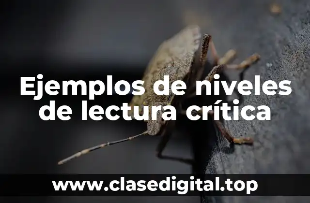 Ejemplos de niveles de lectura crítica