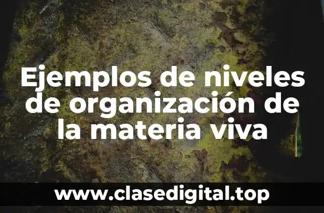 Ejemplos de niveles de organización de la materia viva