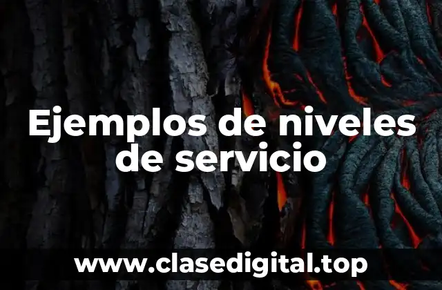 Ejemplos de niveles de servicio