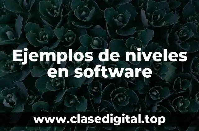 Ejemplos de niveles en software