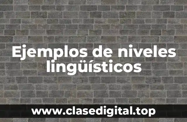Ejemplos de niveles lingüísticos