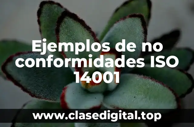 Ejemplos de no conformidades ISO 14001
