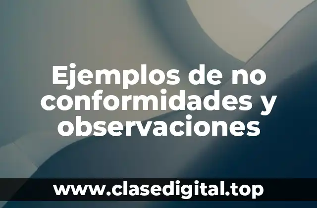 Ejemplos de no conformidades y observaciones