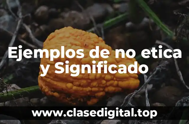 Ejemplos de no etica y Significado