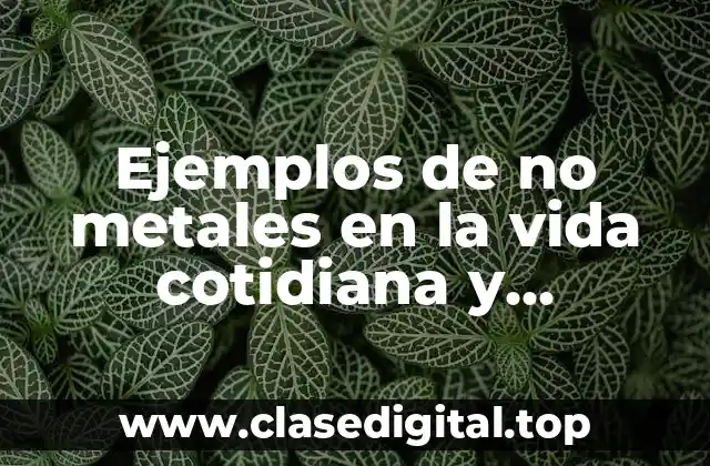 Ejemplos de no metales